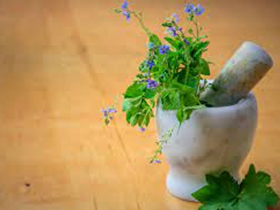 Herbal