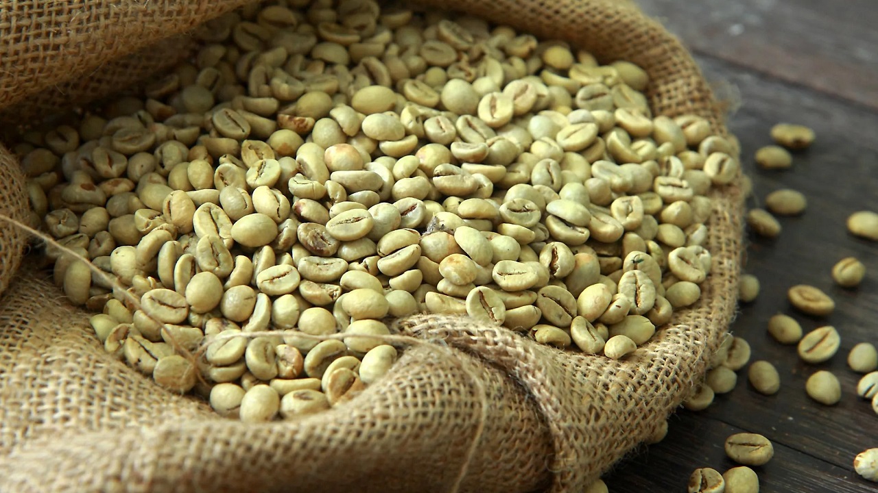 ROBUSTA PB
